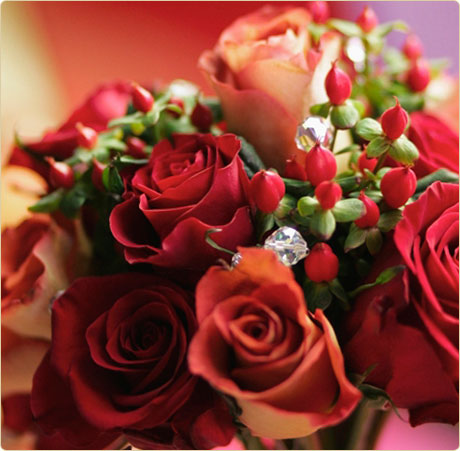 Our Flowers